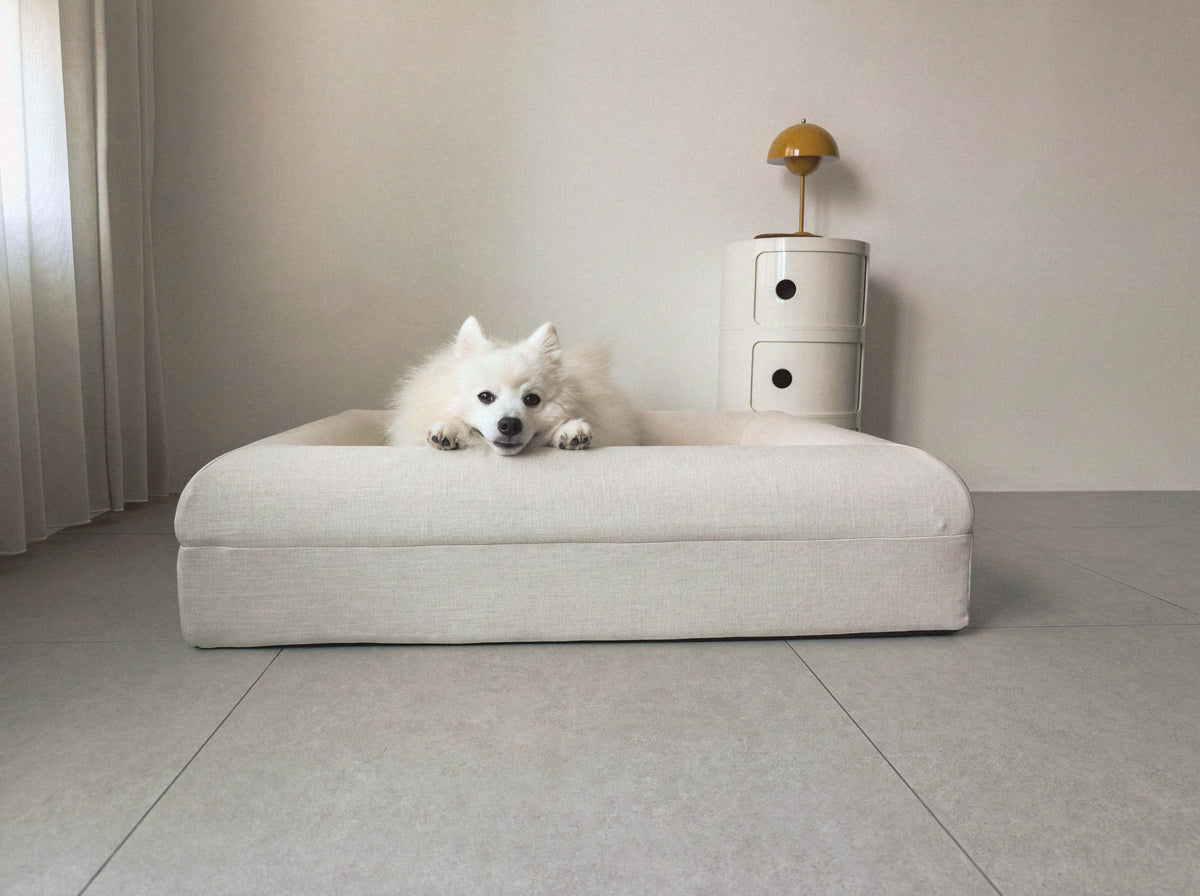 A white dog resting its chin on its paws in the KINNE Bed