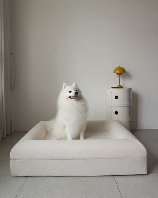 A white dog sitting in the KINNE Bed, seen from the front