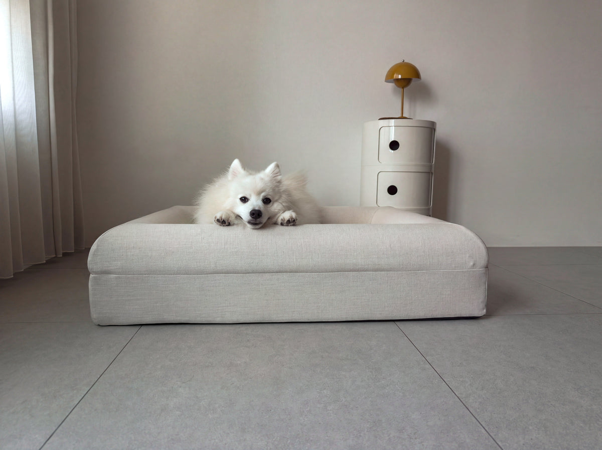 A white dog resting its chin on its paws in the KINNE Bed