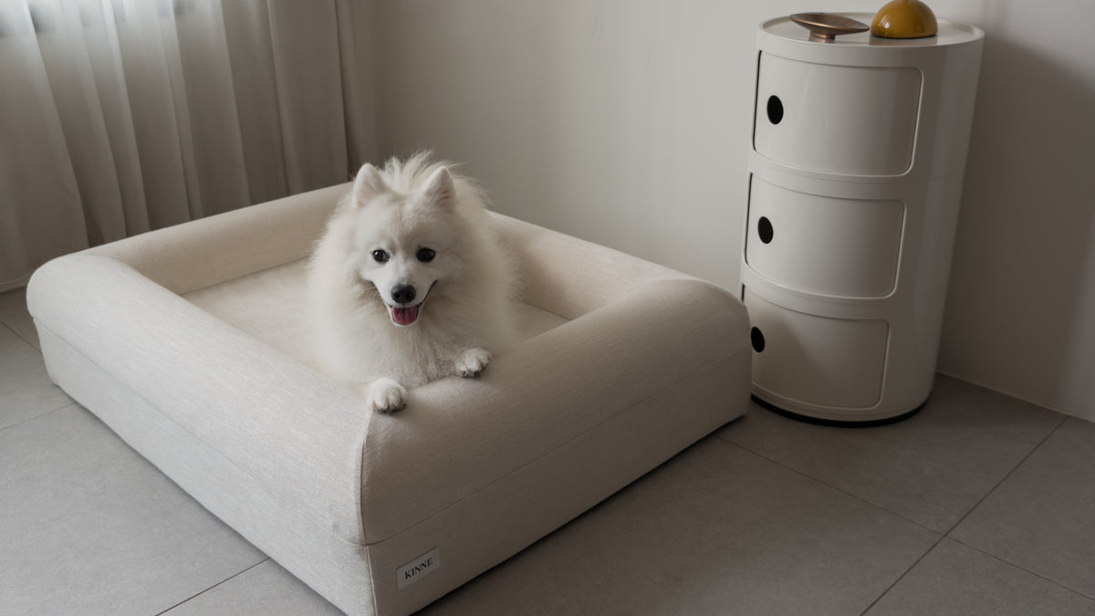 A white dog smiling from the KINNE Bed, paws on the bolster