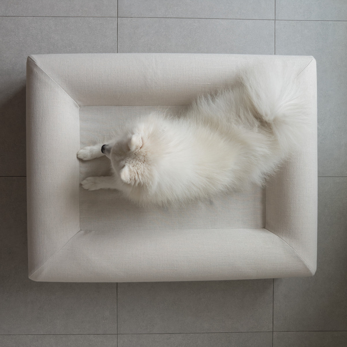 A white dog lying in the KINNE Bed, seen from above